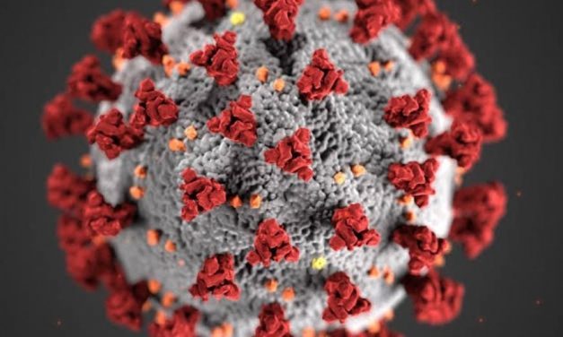 ಕೊರೊನಾ ಅಟ್ಟಹಾಸ ಬೆಳಗಾವಿಯಲ್ಲಿ ಇಂದು 725 ಕೊರೊನಾ ಕೇಸ್ ಪತ್ತೆ