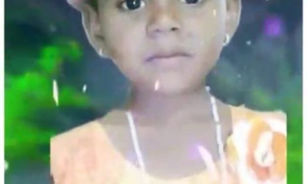 ಬೀದಿ ನಾಯಿ ದಾಳಿಗೆ ಬಾಲಕಿ ಬಲಿ