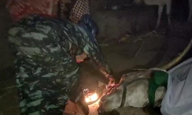 ಮನೆಮಗಳಂತೆ ಸಾಕಿದ ಗೋವಿಗೆ ಭಾವಪೂರ್ಣ ವಿದಾಯ ಸಲ್ಲಿಸಿದ ರೈತೆ, ಆರತಿ ಬೆಳಗಿ ಗೋಮಾತೆಯ ನಿಧನಕ್ಕೆ ಕಂಬನಿ ಮಿಡಿದ ಜನತೆ