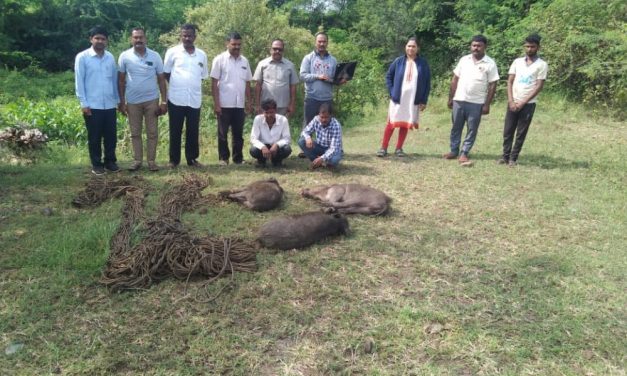 ಇಬ್ಬರು ಕಾಡು ಹಂದಿ ಬೇಟೆಗಾರರ ಬಂಧನ