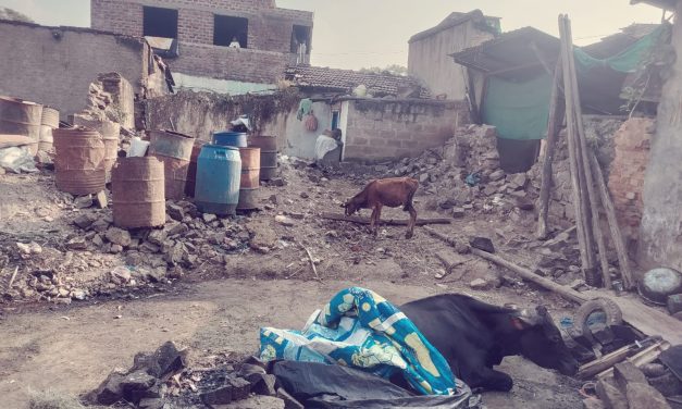 ನಿಪ್ಪಾಣಿಯಲ್ಲಿ ನಡಿತಿದ್ದ ಗೋ ಮಾಂಸ ದಂದೆ ಬೆಳಕಿಗೆ