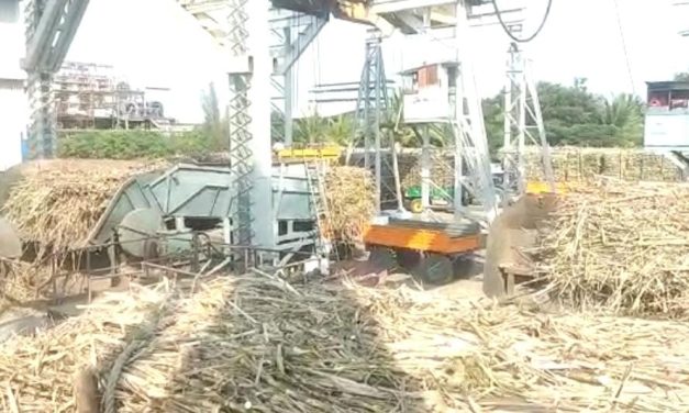 ಮಹಾರಾಷ್ಟ್ರದತ್ತ ಮುಖ ಮಾಡಿದ ರಾಜ್ಯದ ಕಬ್ಬು ಬೆಳೆಗಾರರು