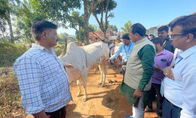 ಬೆಳಗಾವಿ ಜಿಲ್ಲೆಯಲ್ಲಿ ಮೃತಪಟ್ಟ ಜಾನುವಾರುಗಳಿಗೆ ಪರಿಹಾರ : ಪ್ರಭು ಚವ್ಹಾಣ<br>