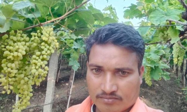 ದಾಯಾದಿಗಳ ಜಗಳ ಕೊಲೆಯಲ್ಲಿ ಅಂತ್ಯ