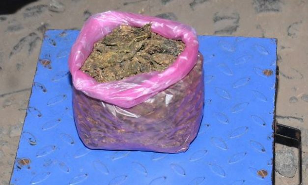 ಗಡಿಯಲ್ಲಿ 430 ಗ್ರಾಂ ಗಾಂಜಾ ವಶ