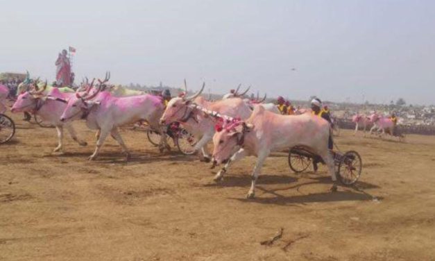 VIDIO : ಕರ್ನಾಟಕದ ಅತಿ ದೊಡ್ಡ ಎತ್ತಿನ – ಕುದುರೆ ಗಾಡಿ ಶರತ್ತು,11 ಲಕ್ಷ ಬಹುಮಾನ ಪಡೆದವರು ಯಾರು ಗೊತ್ತಾ?