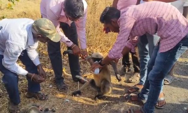 ವಿಡಿಯೊ – ಈ ದೃಶ್ಯಾವಳಿಗಳನ್ನು ನೋಡಿದ್ರೆ ನಿಮ್ಮ ಕರುಳ ಚುರ್ರ್ ಎನ್ನುತ್ತೆ
