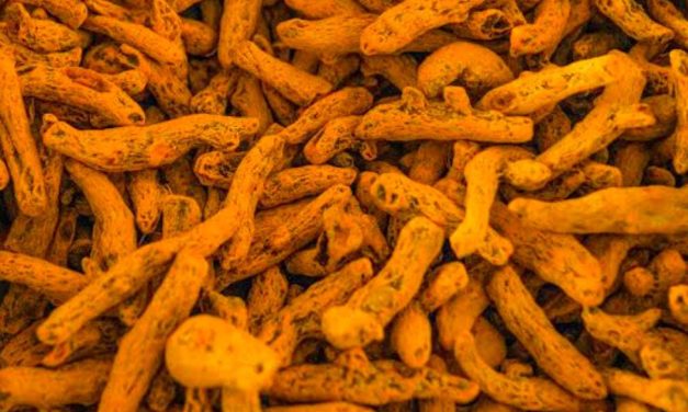 ರಾಷ್ಟ್ರದಲ್ಲೆ ದುಬಾರಿ ದರಕ್ಕೆ ಮಾರಾಟವಾದ ಅರುಶಿನ ಮಾರಾಟದ ಬೆಲೆ ಎಷ್ಟು ಗೊತ್ತಾ?