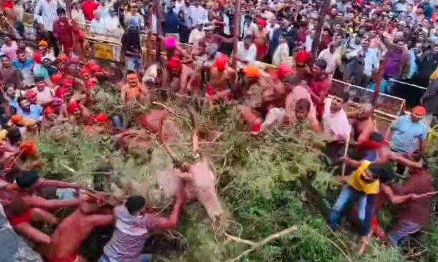 <font style="vertical-align: inherit;"><font style="vertical-align: inherit;">ಕಾಗವಾಡ ಕಾರು ಹುಣಿಮೆ ಒಮ್ಮೆಯಾದರೂ ನೋಡಲೇಬೇಕು – ಇಲ್ಲಿ ಕಾರಹುಣ್ಣಿಮೆ ಹೇಗಿದ್ದಾರೆ ಗೊತ್ತಾ? ವಿಡಿಯೋ ನೋಡಿ</font></font>