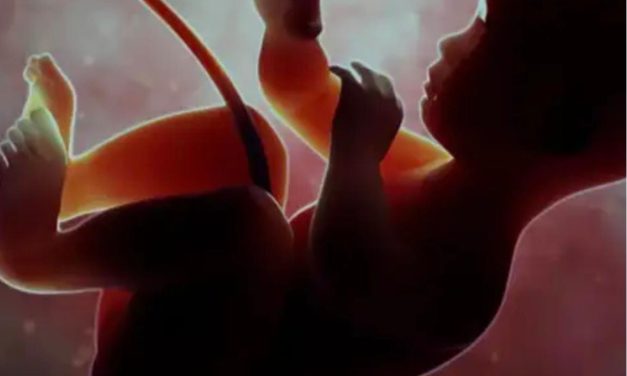 ಅವಧಿ ಪೂರ್ವ ಜನ್ಮತಾಳಿದ್ದ ಹೆಣ್ಣು ಶಿಶು ತೆಪ್ಪೆಗೆ ಎಸೆದ ದುರುಳರು ಅರೆಸ್ಟ್