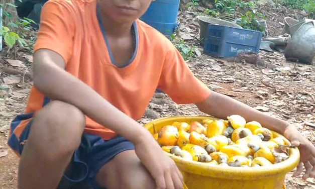 ಘಟಪ್ರಭಾ ನದಿಯಲ್ಲಿ ಮೀನು ಹಿಡಿಯಲು ಹೋಗಿದ್ದ ಬಾಲಕ ನಾಪತ್ತೆ