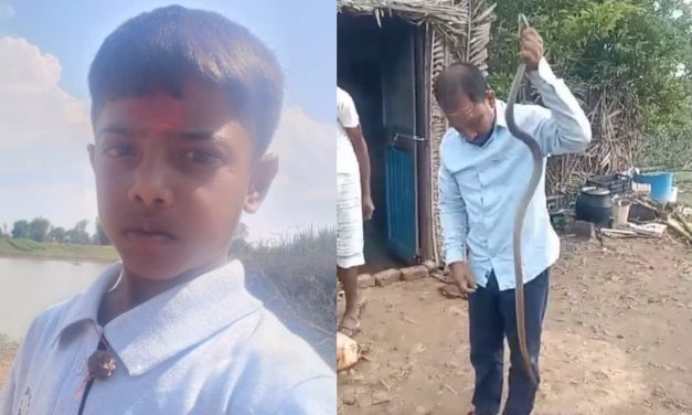 ಬಾಲಕನನ್ನು ಕಚ್ಚಿಕೊಂದ ಹಾವನ್ನು ಮೂರು ದಿನದ ಬಳಿಕ ಸೆರೆ ಹಿಡಿದು ಕುಟುಂಬಸ್ಥರು : ಮಾಡಿದ್ದೇನು?
