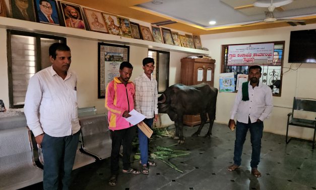 ಶೆಡ್‌ಗಾಗಿ ಗ್ರಾಮ ಪಂಚಾಯ್ತಿ ಕಚೇರಿಗೆ ಬಂದ ಎಮ್ಮೆ; ಅಧಿಕಾರಿಗಳ ನಿರ್ಲಕ್ಷ್ಯದ ವಿರುದ್ಧ ಆಕ್ರೋಶ