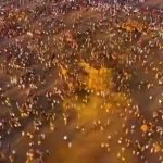 ವಿಡಿಯೋ – 51 ಪಲ್ಲಕ್ಕಿಯ ಜೊತೆಗೆ ಸಿದ್ದರ ಭೇಟಿ – ಐನಾಪೂರಲ್ಲಿ ಸ್ವರ್ಗದ ಬಾಗಿಲು ತಟ್ಟಿ ಬಂದ ಭಕ್ತರು