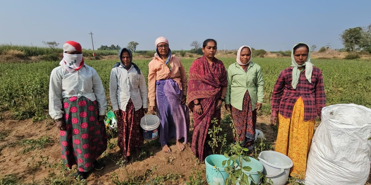 ಗೃಹಿಣಿಯಿಂದ ರೈತ ಮಹಿಳೆ ತನಕ – ಗೆಲುವಿನ ಪಯಣ ತರಕಾರಿ ಬೆಳೆದು 100 ಗ್ರಾಂ ಚಿನ್ನ ಖರೀದಿ