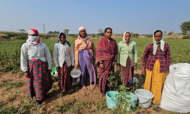 ಗೃಹಿಣಿಯಿಂದ ರೈತ ಮಹಿಳೆ ತನಕ – ಗೆಲುವಿನ ಪಯಣ ತರಕಾರಿ ಬೆಳೆದು 100 ಗ್ರಾಂ ಚಿನ್ನ ಖರೀದಿ