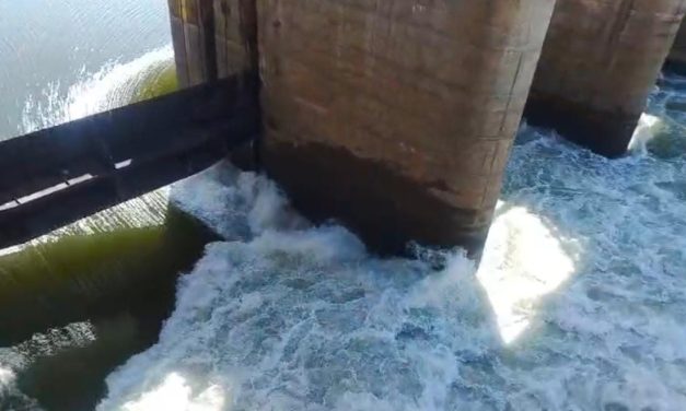 ಹಿಪ್ಪರಗಿ ಬ್ಯಾರೇಜ್ ಮೂಲಕ ಹರಿದು ಹೋದ ಕೃಷ್ಣೆಯ 10 ಅಡಿ ನೀರು!!! ಕೃಷ್ಣಾ ನದಿ ಬತ್ತಿ ಹೋಗುವ ಭೀತಿ, ರೈತರಲ್ಲಿ ಆತಂಕ