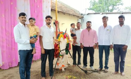 ಆಕಳಿಗೆ ಸೀಮಂತ ಮಾಡಿ ಊರಿಗೆ ಊಟ ಹಾಕಿದ ರೈತ ಗೋವಿಂದ ಸಂಭೋಜಿ ಕುಟುಂಬ